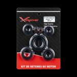 JUEGO DE RETENES MOTOR GILERA SMASH 110 7PC